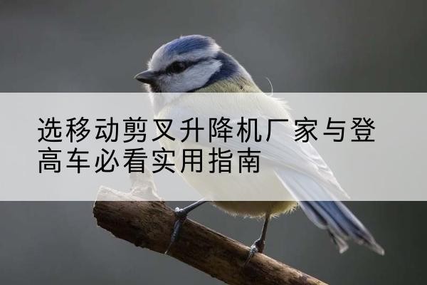 三原电动升降机厂家-选移动剪叉升降机厂家与登高车必看实用指南