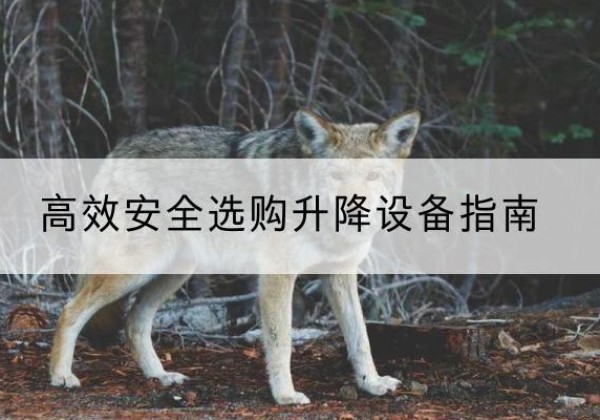 三原升降货梯厂家推荐-*安全选购升降设备指南