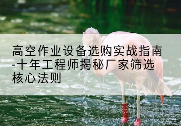 三原剪叉式升降机厂家-高空作业设备选购实战指南-十年工程师揭秘厂家筛选核心法则